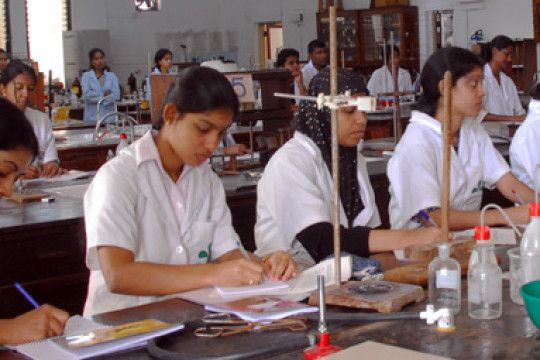 Institute of Chemistry — photo 2