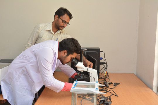 Institute of Food Science & Technology — photo 6