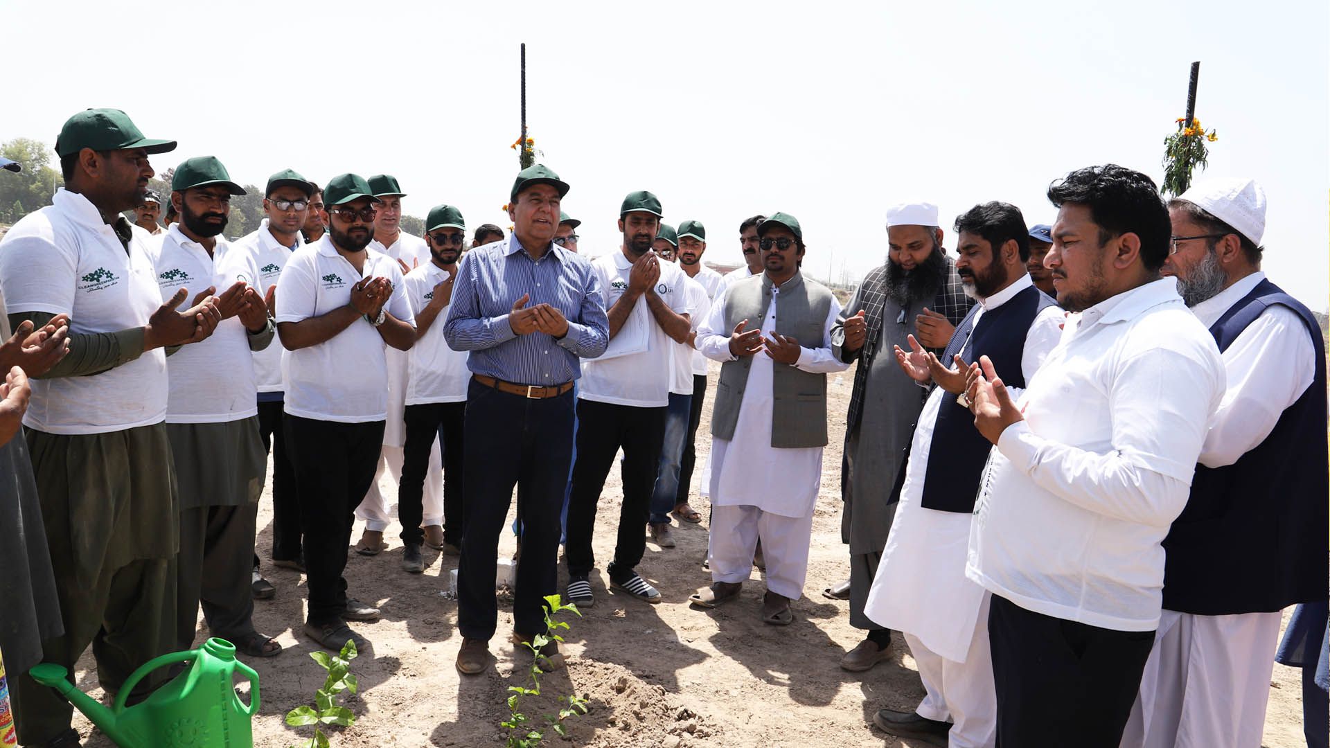 MEGA TREE PLANTATION