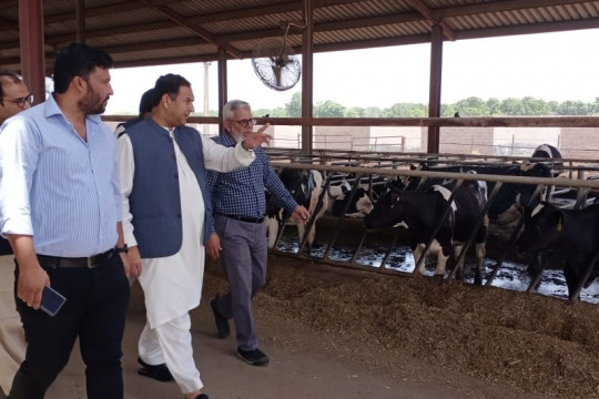 IFST KFUEIT delegation visit to JK Dairies Sadiqabad Pakistan