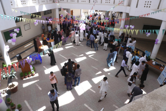 Project Exhibition Showcases