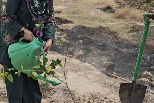 Legacy · Tree Plantation Drive 2026